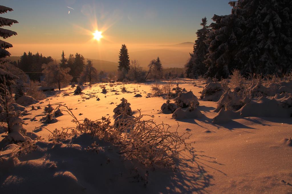 Chata Javorina Javornik  ภายนอก รูปภาพ